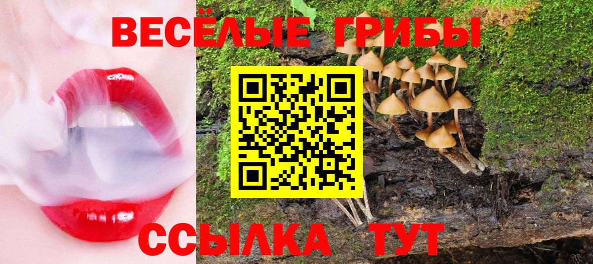 продажа наркотиков  Псилоцибиновые грибы GOLDEN TEACHER  Вход с VPN  Кумертау 